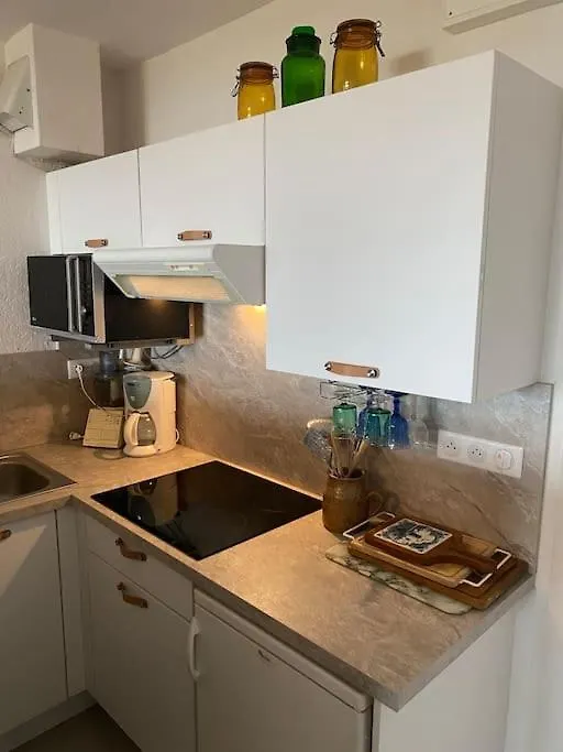 Appartement A La Montagne Besse-et-Saint-Anastaise